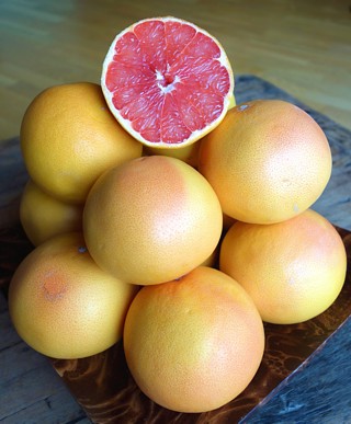 Kde se vzaly grepy a čím nám pomáhají