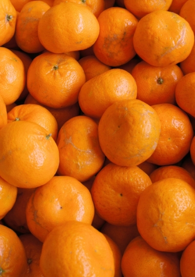 BIO Mandarinky klementýnky 'NOVA'