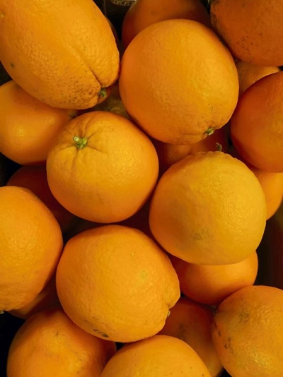 BIO Pomeranče Navel FUKUMOTO